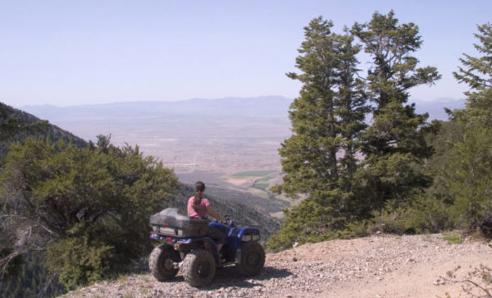 Injury Quad Bike